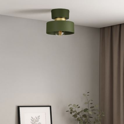 Lampa sufitowa IGNIA 1xE27/60W/230V zielona/złota