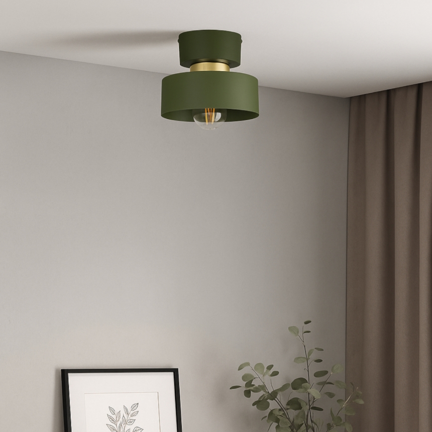 Lampa sufitowa IGNIA 1xE27/60W/230V zielona/złota