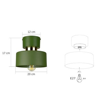 Lampa sufitowa IGNIA 1xE27/60W/230V zielona/złota