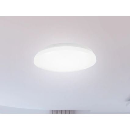 Lampa sufitowa łazienkowa LED OPAL 12W/230V, śr. 24,5 cm, IP44, biała