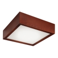 Lampa sufitowa LED/12W/230V sosnowa