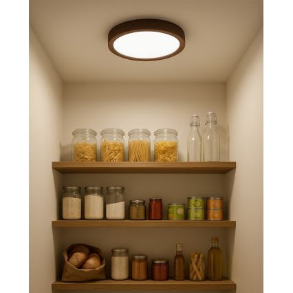 Lampa sufitowa LED/18W/230V 3000/4000/6500K śr. 23 cm brązowa