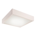 Lampa sufitowa LED/24W/230V