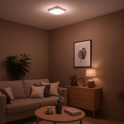 Lampa sufitowa LED NEMO/11W/230V 26x26 cm chrom błyszczący