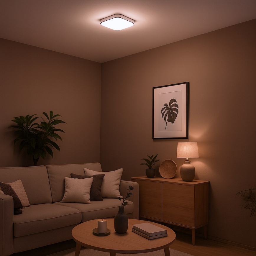 Lampa sufitowa LED NEMO/11W/230V 26x26 cm chrom błyszczący