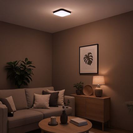 Lampa sufitowa LED NEMO LED/11W/230V 26x26 cm czarna