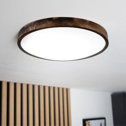 Lampa sufitowa LED OAK SMOKY SLIM LED/36W/230V 4000K Ø 47 cm dąb/ciemny brąz