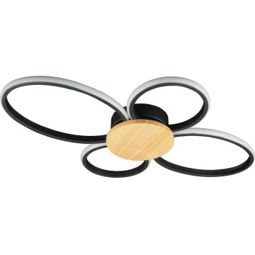 Lampa sufitowa LED SABINA LED/38W/230V drewno kauczukowe