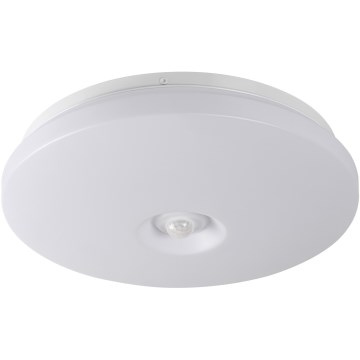 Lampa sufitowa LED z czujnikiem ruchu i zmierzchu FOGLER LED/12W/230V śr. 28 cm