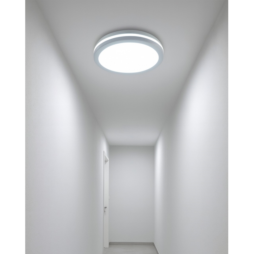 Plafon łazienkowy LED z czujnikiem ruchu LED/20W/230V 3000/4000/6500K śr. 23 cm IP54 biały