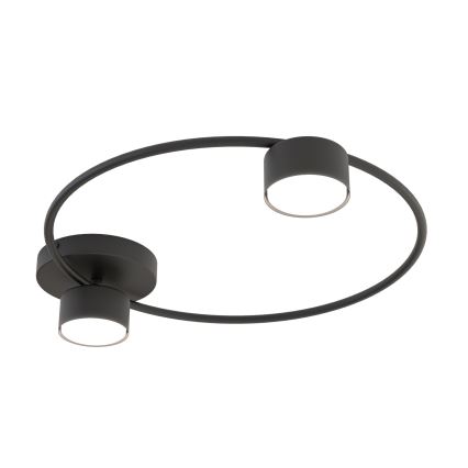 Lampa sufitowa LUCIO 2xGX53/12W/230V czarny