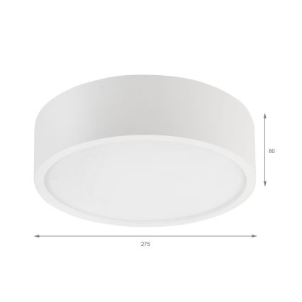 Lampa sufitowa NATURAL 1xE27/15W/230V śr. 27,5 cm sosna/biały