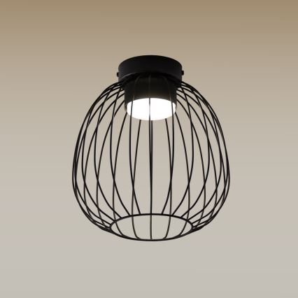 Lampa sufitowa OVELLA 1xGX53/10W/230V śr. 25 cm czarna