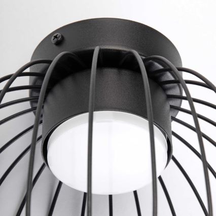 Lampa sufitowa OVELLA 1xGX53/10W/230V śr. 25 cm czarna