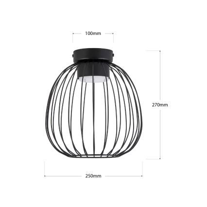 Lampa sufitowa OVELLA 1xGX53/10W/230V śr. 25 cm czarna