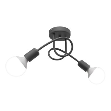Lampa sufitowa OXFORD 2xE27/15W/230V srebrny