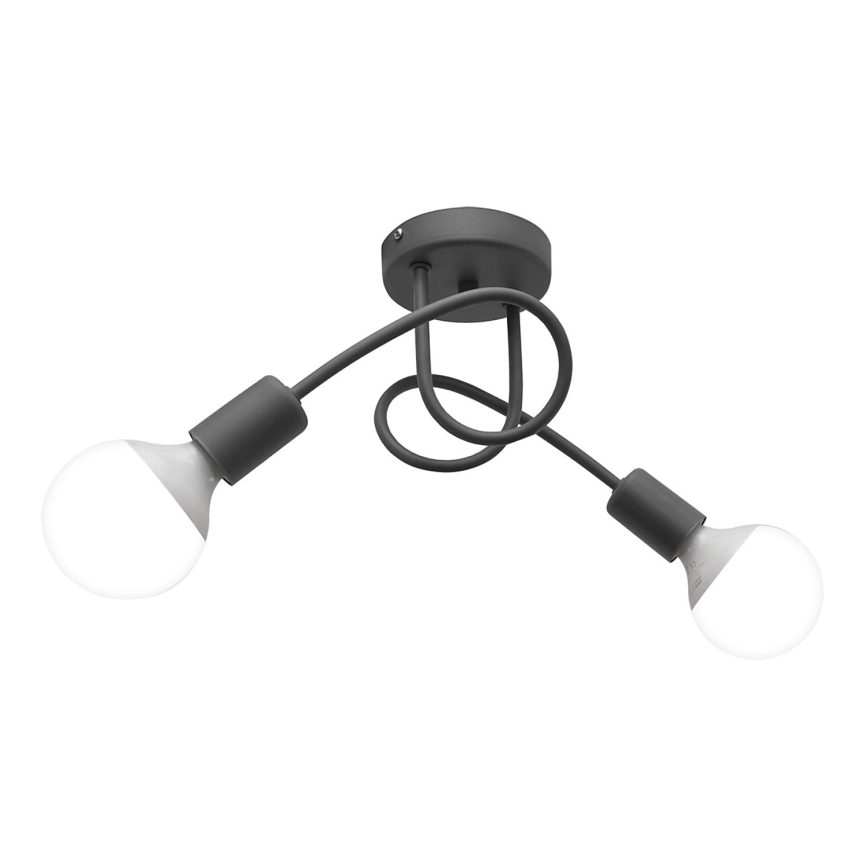 Lampa sufitowa OXFORD 2xE27/15W/230V srebrny