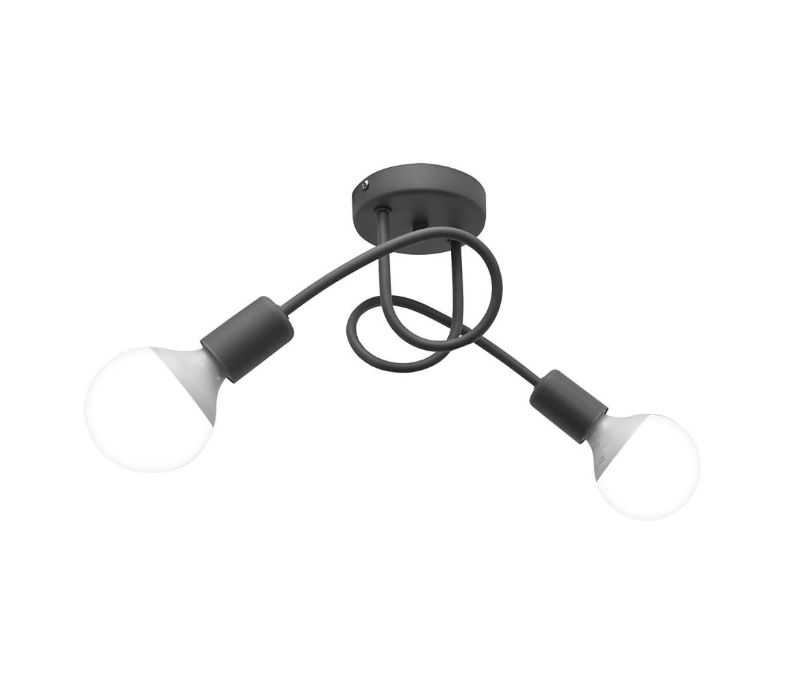 Lampa sufitowa OXFORD 2xE27/15W/230V srebrny