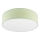 Lampa sufitowa SIRJA PASTEL 2xE27/15W/230V Ø 45 cm zielona