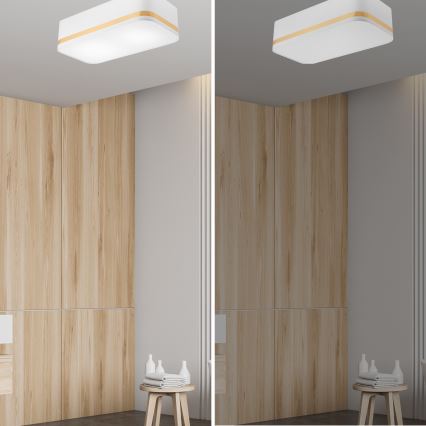 Lampa sufitowa SIRJA SQUARE STRIPE 2xE27/15W/230V biała/złota