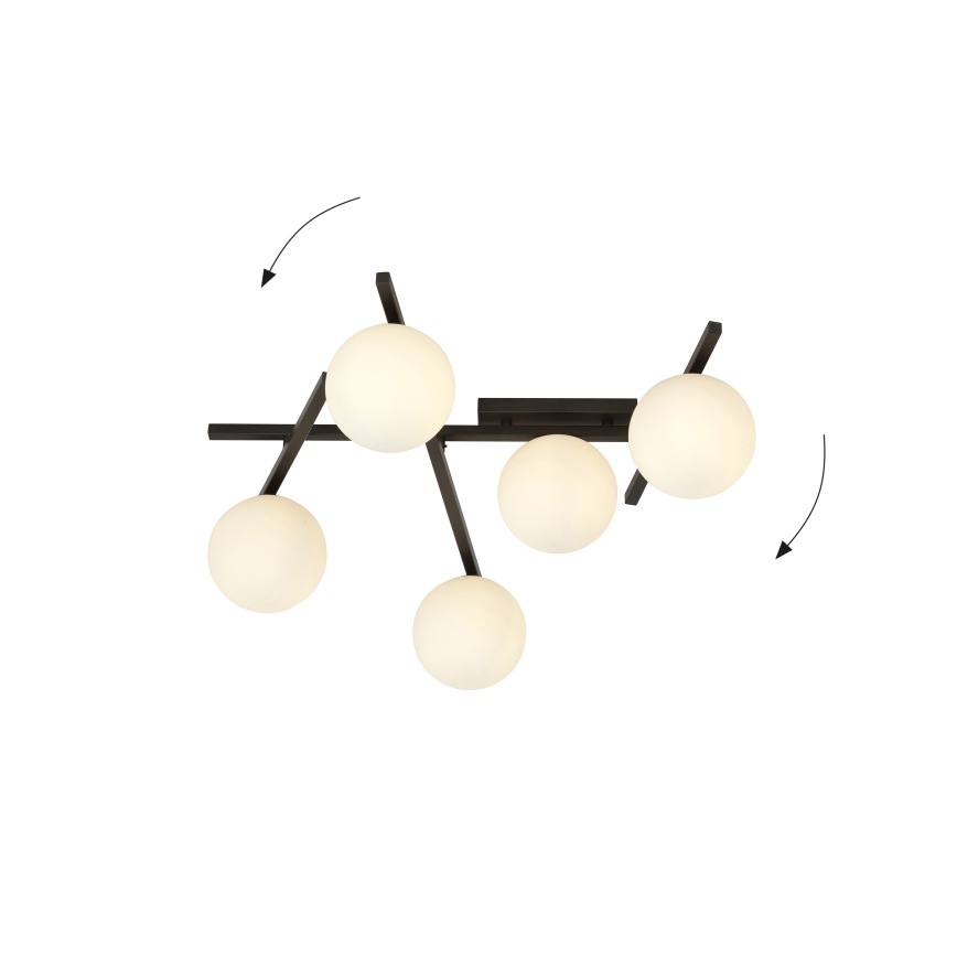 Lampa sufitowa SMART 5xE14/10W/230V czarna/biała