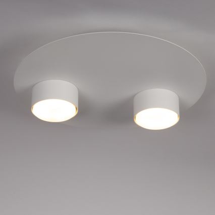 Lampa sufitowa STAR 2xGX53/12W/230V biała