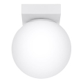 Lampa sufitowa YOLI 1xG9/12W/230V biała