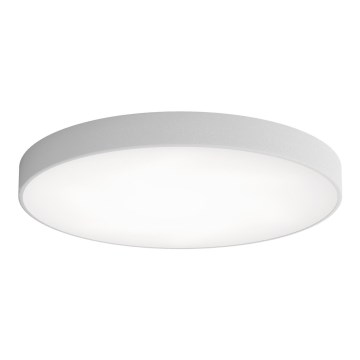 Lampa sufitowa z czujnikiem ruchu i zmierzchu CLEO 6xE27/24W/230V śr. 80 cm szara