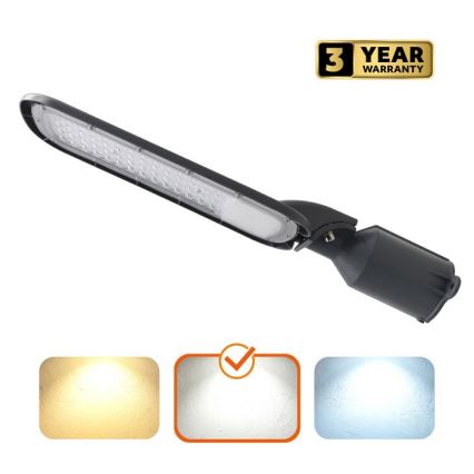Lampa uliczna LED BRELUXO LED/100W/230V 4000K IP65
