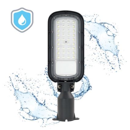 Lampa uliczna LED BRELUXO LED/50W/230V 4000K IP65