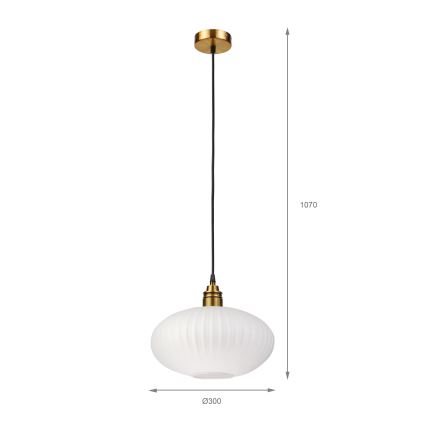 Lampa wisząca na lince HECTOR 1xE27/15W/230V biała/mosiądz śr. 30 cm