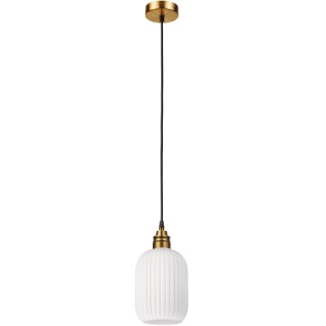 Lampa wisząca na lince HECTOR 1xE27/15W/230V śr. 14 cm