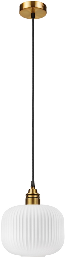 Lampa wisząca na lince HECTOR 1xE27/15W/230V śr. 20 cm