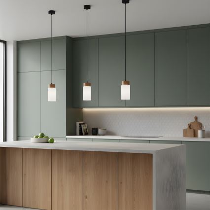 Lampa wisząca na lince MARKUS 1xE27/15W/230V czarny/dąb