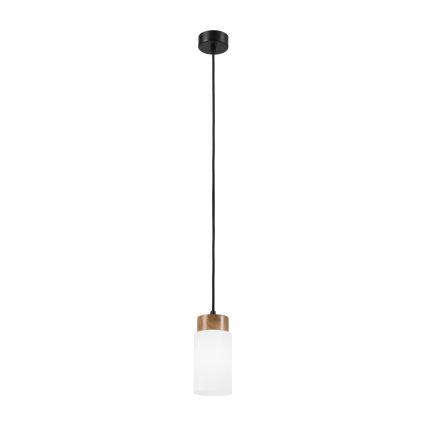 Lampa wisząca na lince MARKUS 1xE27/15W/230V czarny/dąb