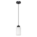Lampa wisząca na linku BOSCO 1xE27/60W/230V