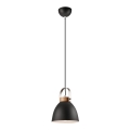 Lampa wisząca na linku DANIELLE 1xE27/60W/230V buk