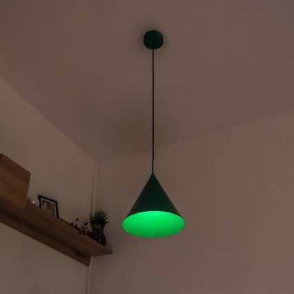 Lampa wisząca na przewodzie ETNA II 1xE27/15W/230V śr. 25 cm zielona