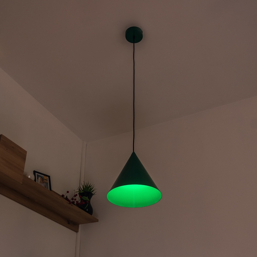 Lampa wisząca na przewodzie ETNA II 1xE27/15W/230V śr. 25 cm zielona