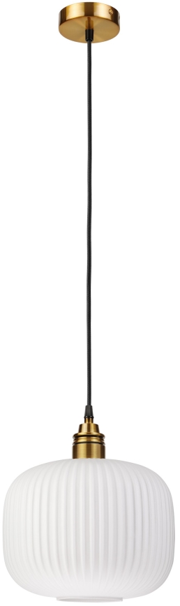 Lampa wisząca na przewodzie HECTOR 1xE27/15W/230V śr. 25 cm