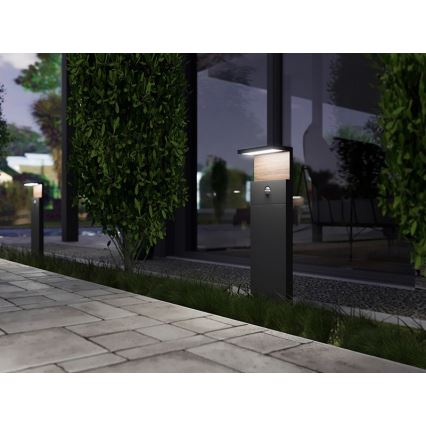 Lampa zewnętrzna LED z czujnikiem NATURA LED/12W/230V 4000K IP54 brązowy/antracyt