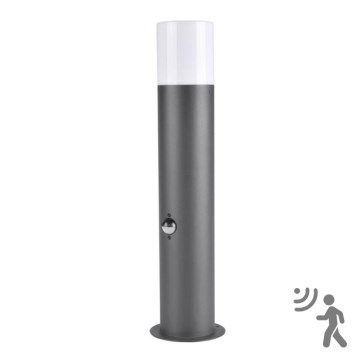Lampa zewnętrzna z czujnikiem DALLAS 1xE27/12W/230V IP44 grafit