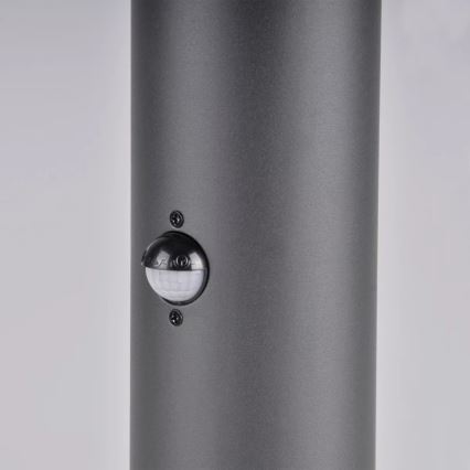 Lampa zewnętrzna z czujnikiem DALLAS 1xE27/12W/230V IP44 grafit