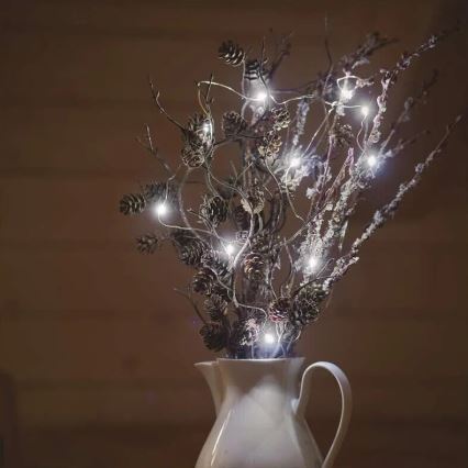 Łańcuch LED 20 diod / 2×AA, 2,4 m, zimna biel