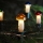 łańcuch świetlny TOADSTOOL 12xE10 10,7 m ciepła biała, Wyprodukowano w Czechach