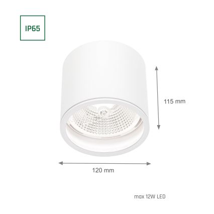 Łazienkowe oświetlenie punktowe CHLOE AR111 1xGU10/12W/230V IP65 okrągłe białe