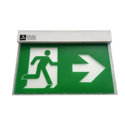 LED Awaryjna lampa LED/2W/230V 6000K 1500 mAh