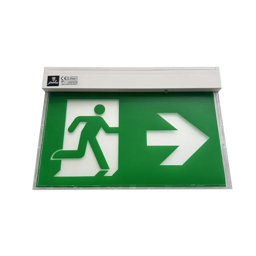 LED Awaryjna lampa LED/2W/230V 6000K 1500 mAh