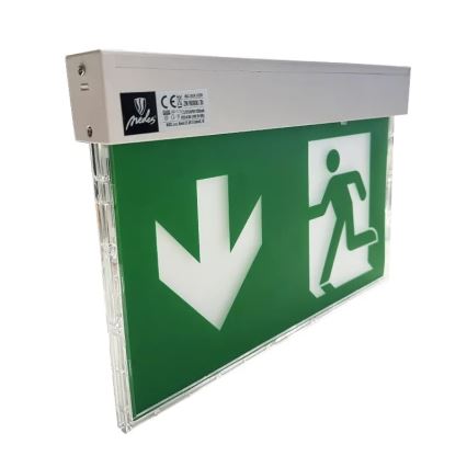 LED Awaryjna lampa LED/2W/230V 6000K 1500 mAh