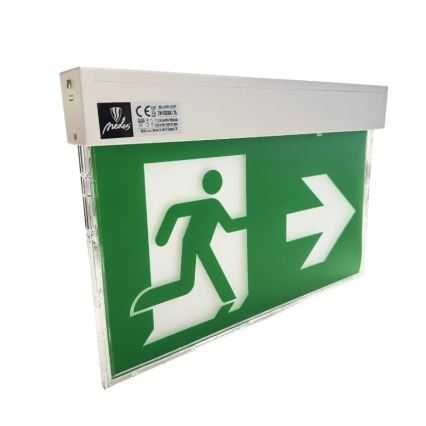 LED Awaryjna lampa LED/2W/230V 6000K 1500 mAh